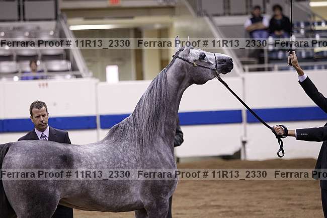 Proof 11r13_2330