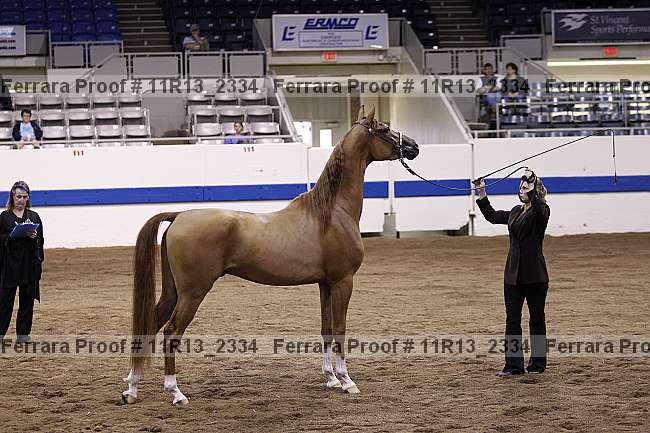 Proof 11r13_2334