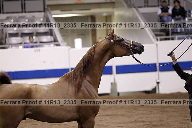 Proof 11r13_2335