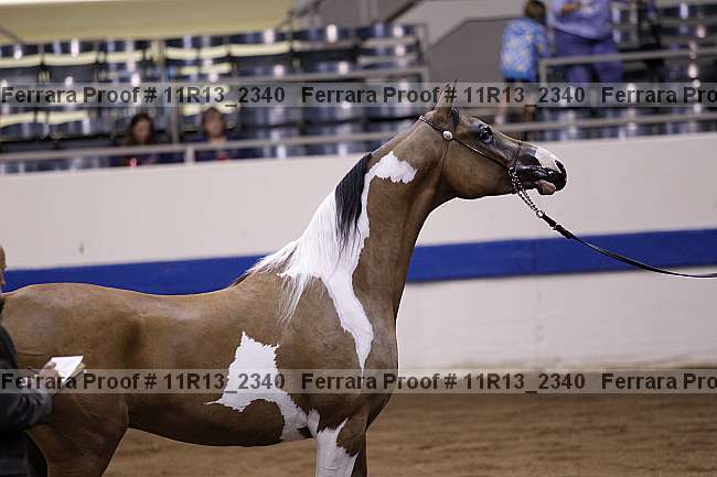 Proof 11r13_2340