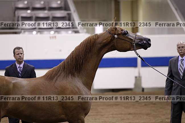 Proof 11r13_2345