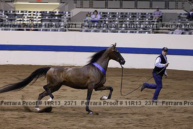 Proof 11r13_2371