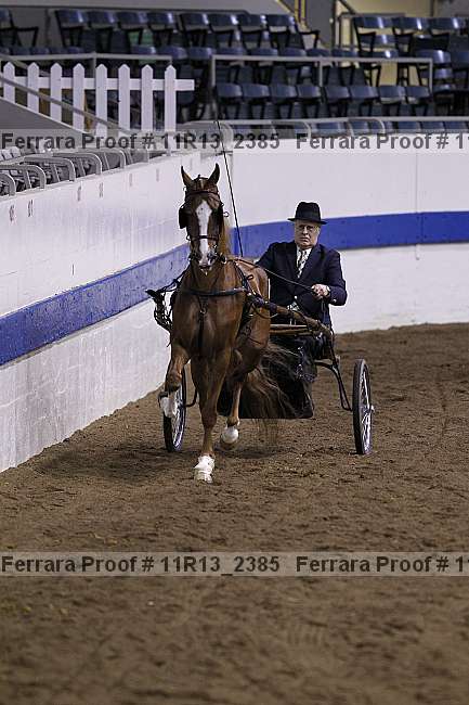 Proof 11r13_2385