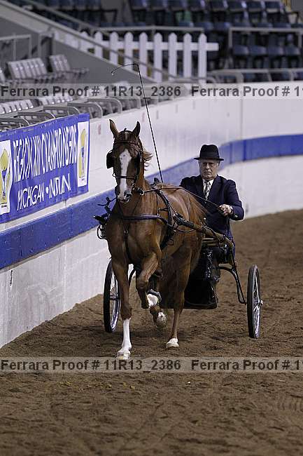 Proof 11r13_2386