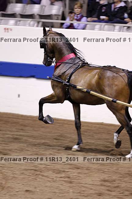 Proof 11r13_2401