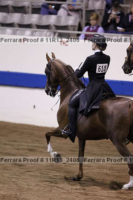 Proof 11r13_2406