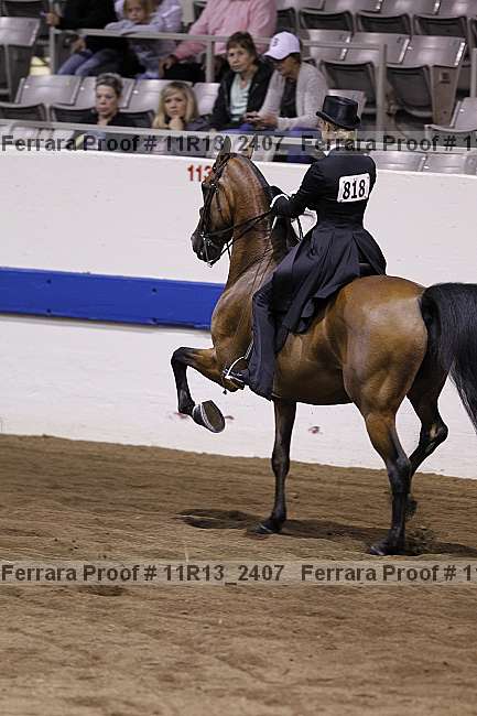 Proof 11r13_2407