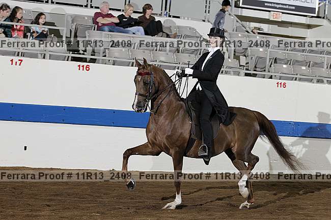 Proof 11r13_2408