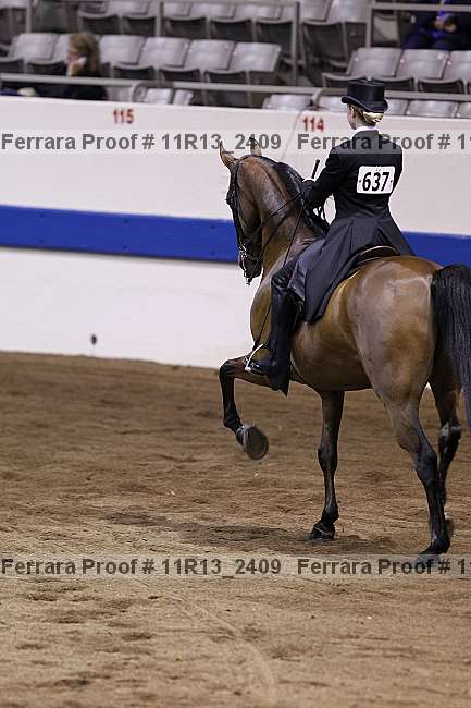 Proof 11r13_2409
