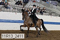 11r13_2411 proof