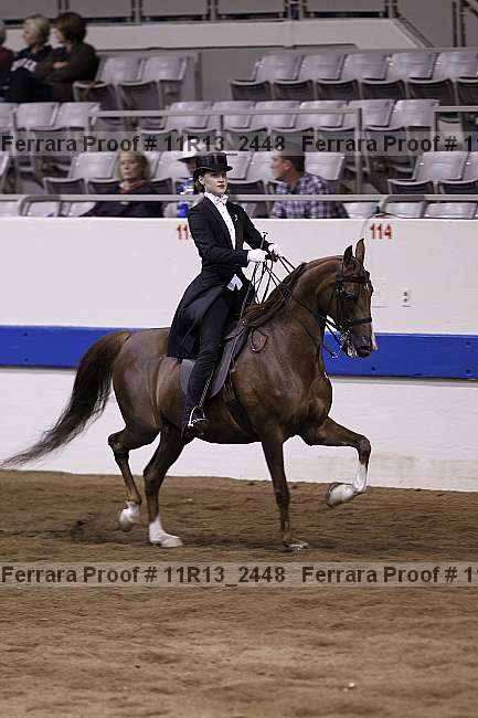 Proof 11r13_2448