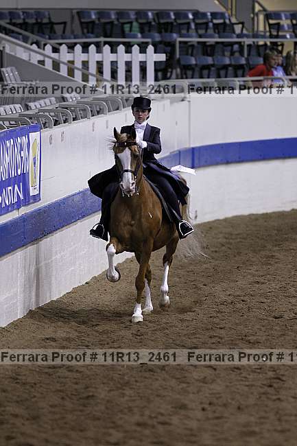 Proof 11r13_2461