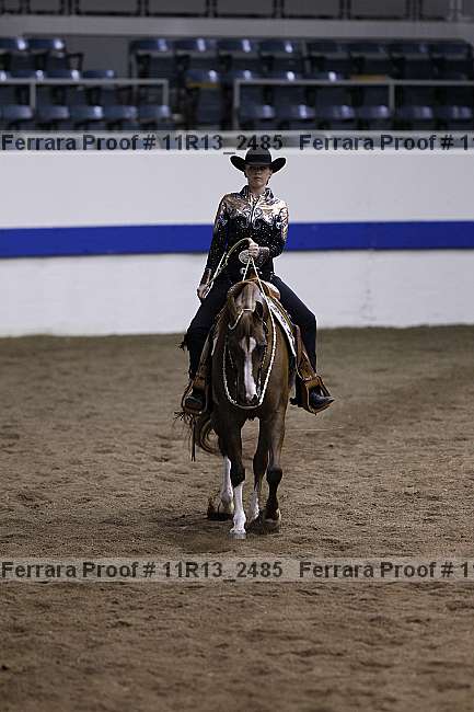 Proof 11r13_2485