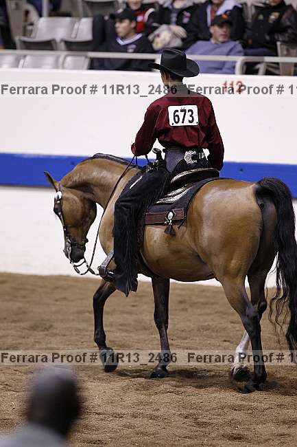 Proof 11r13_2486