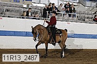 11r13_2487 proof