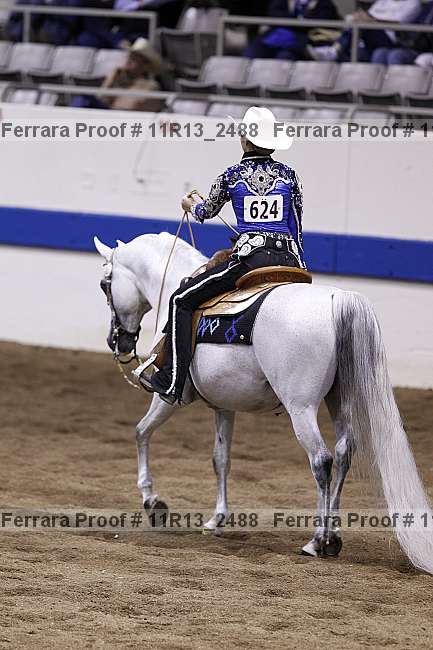 Proof 11r13_2488