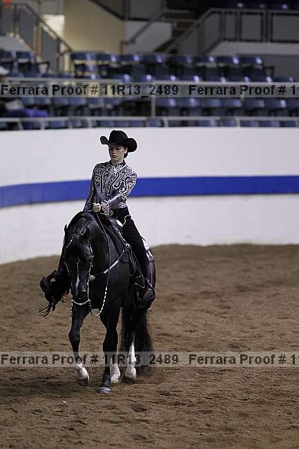 Proof 11r13_2489