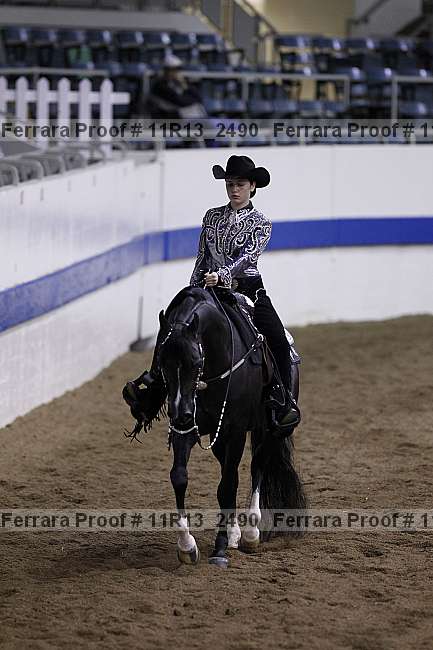 Proof 11r13_2490