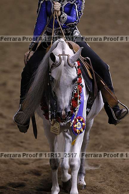 Proof 11r13_2517