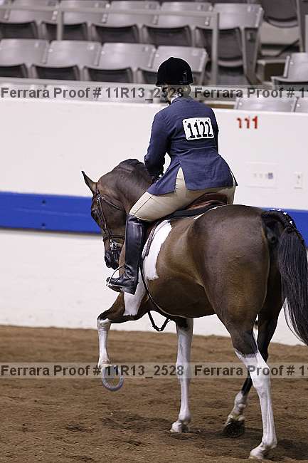 Proof 11r13_2528