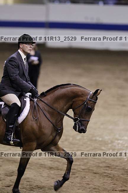 Proof 11r13_2529