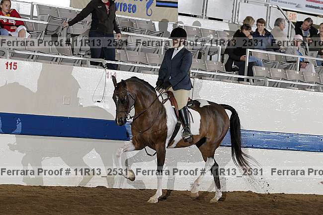 Proof 11r13_2531