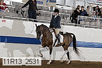 11r13_2531 proof