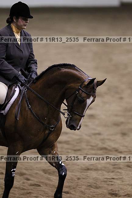 Proof 11r13_2535