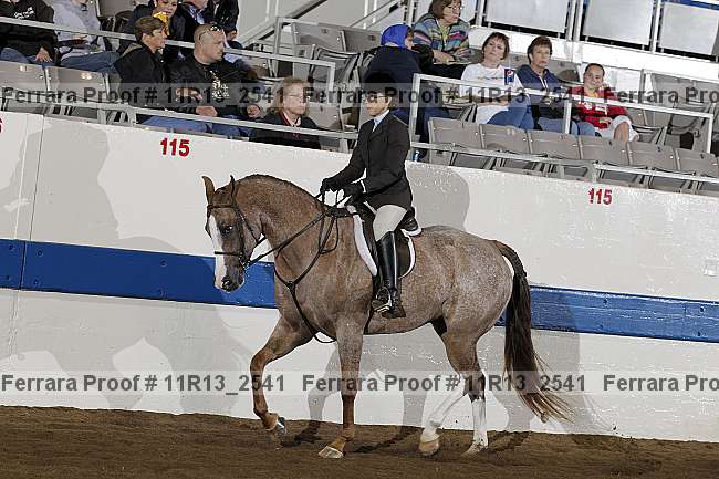 Proof 11r13_2541