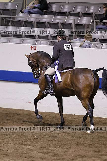 Proof 11r13_2556