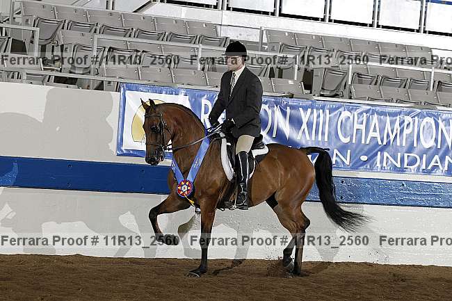 Proof 11r13_2560