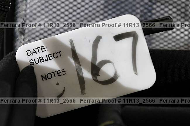 Proof 11r13_2566