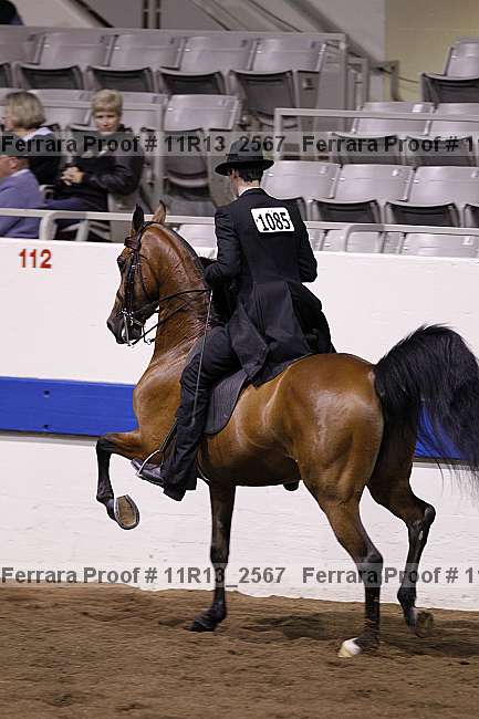 Proof 11r13_2567
