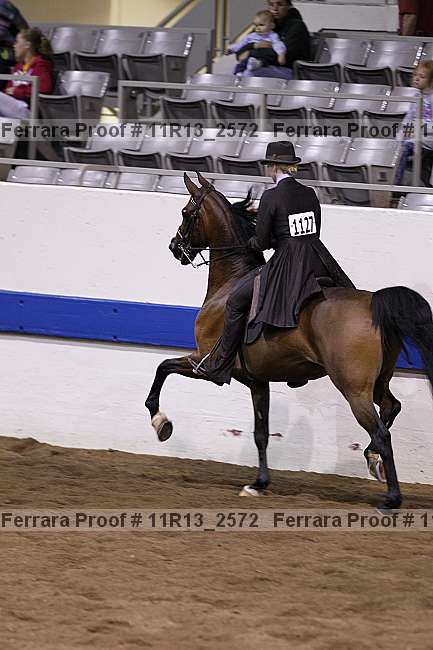 Proof 11r13_2572