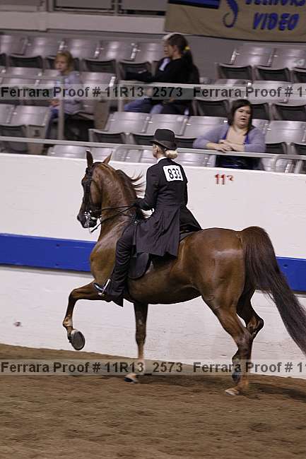 Proof 11r13_2573