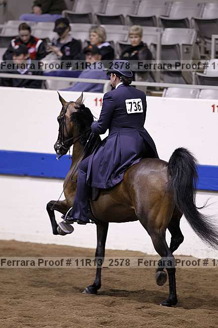 Proof 11r13_2578