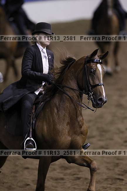 Proof 11r13_2581