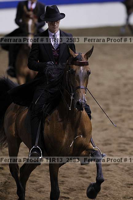 Proof 11r13_2583