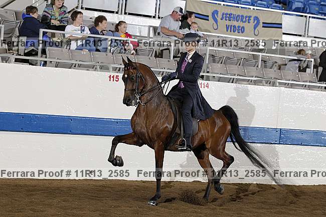 Proof 11r13_2585