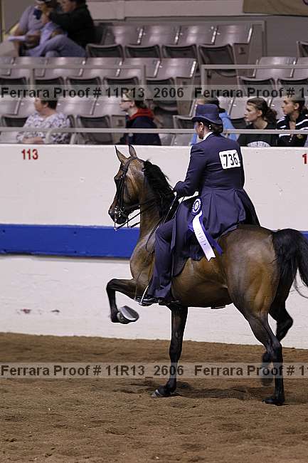 Proof 11r13_2606