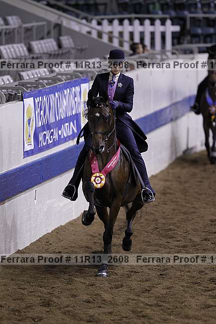 Proof 11r13_2608