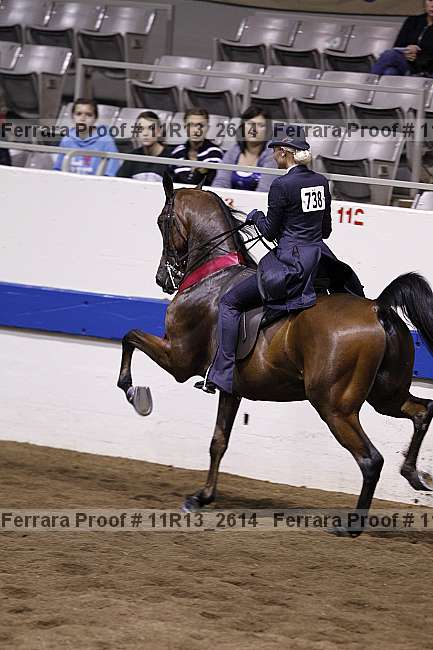 Proof 11r13_2614