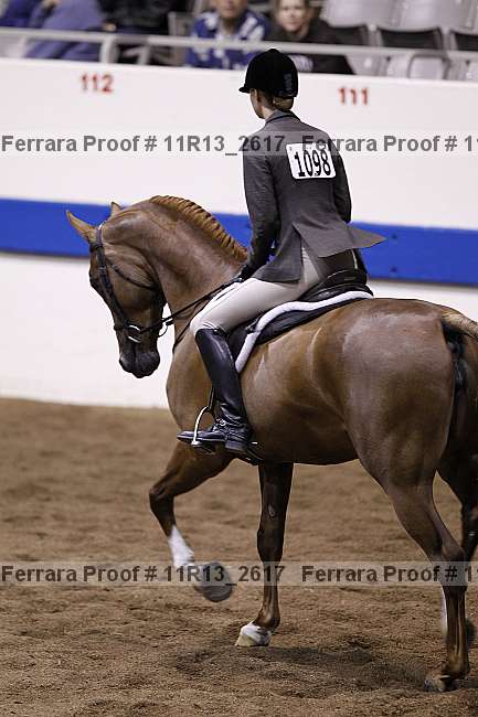 Proof 11r13_2617
