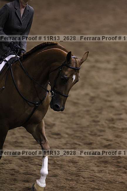 Proof 11r13_2628