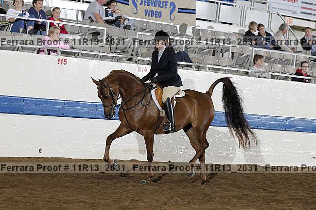 Proof 11r13_2631