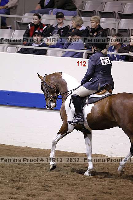 Proof 11r13_2632