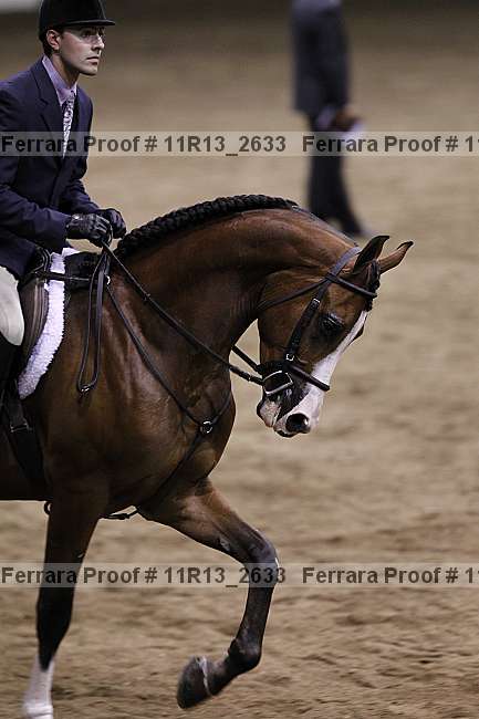 Proof 11r13_2633