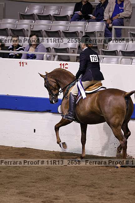 Proof 11r13_2658