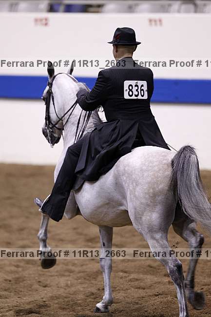 Proof 11r13_2663