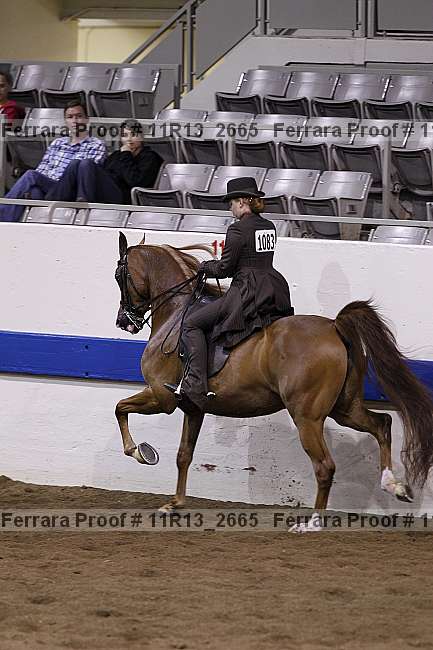 Proof 11r13_2665
